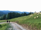 Projket TATO Pieniny