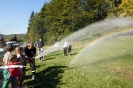 Rower, słońce i jesienne kolory cz.2