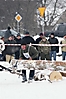 I Zawody Furmanów (31.01.2010)