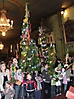 nd_palmowa_sw_katarzyna