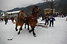 Furmani na start