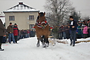Furmani na start