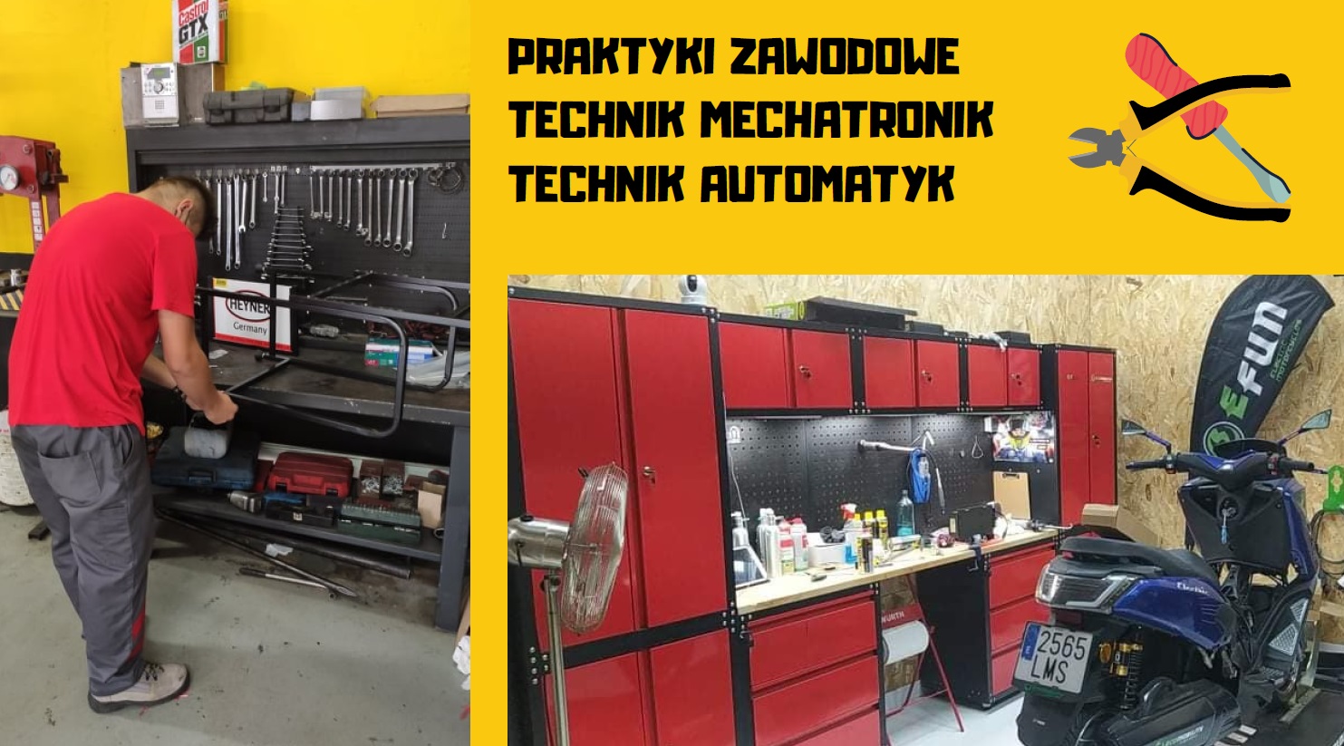 erasmuz_zsz