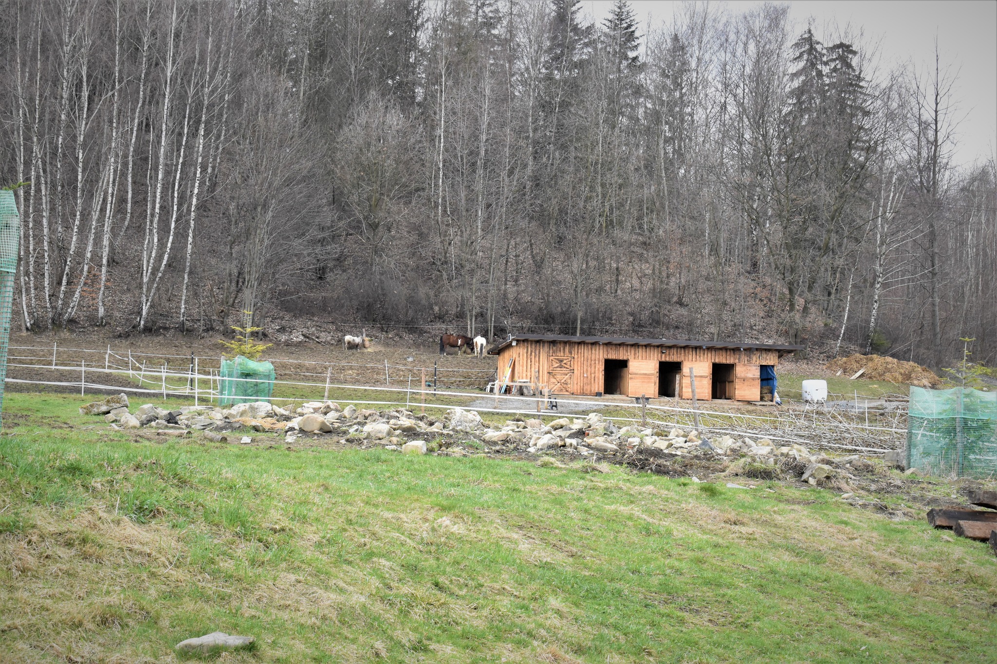 fundacja_gorom